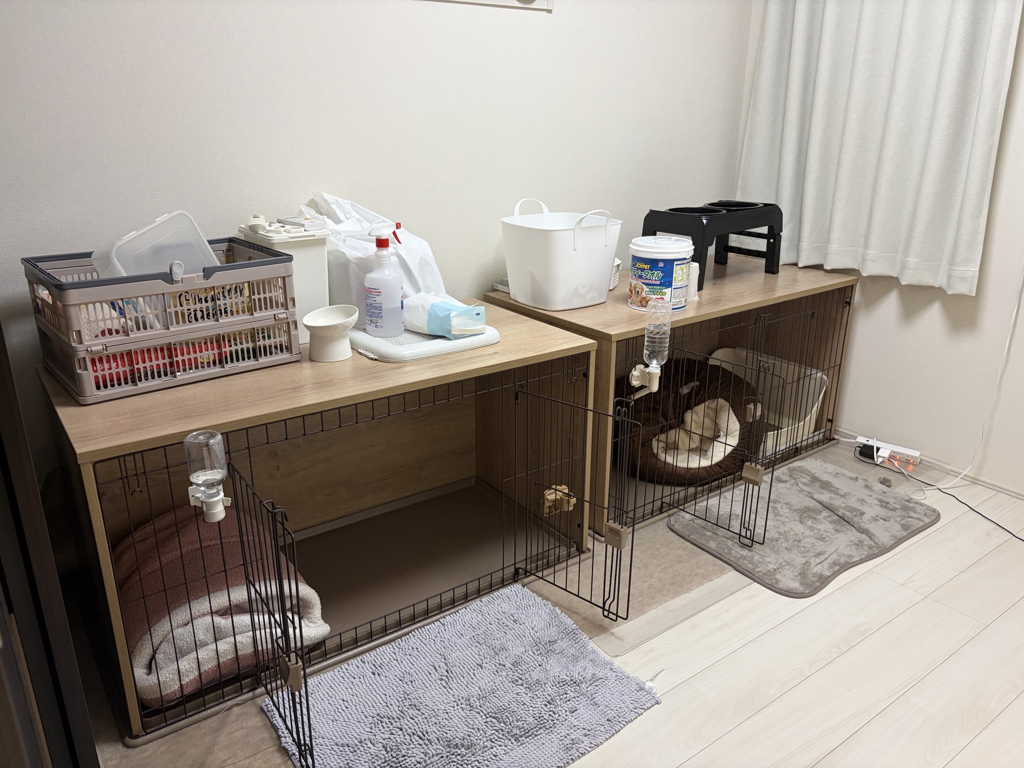 メルのお部屋