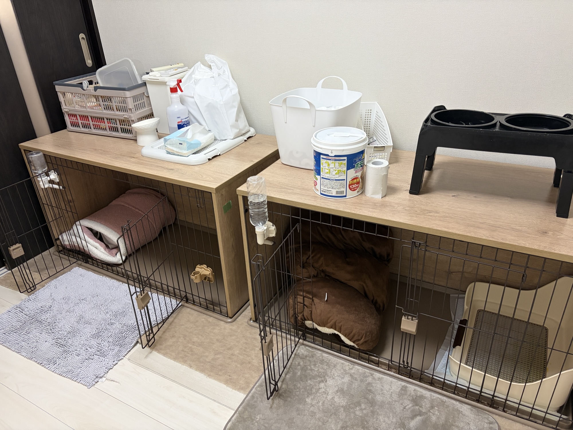 ラキのお部屋